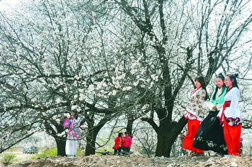 看球免费高清直播 多屏互动